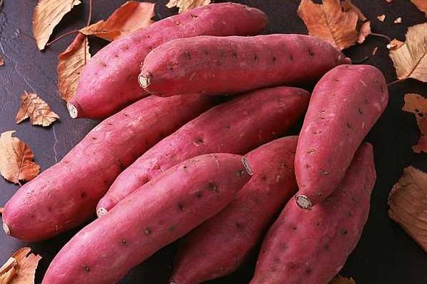 煮红薯要多长时间?