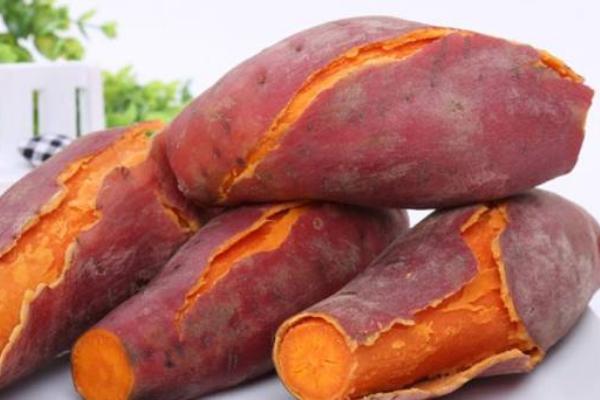 煮红薯要多长时间?