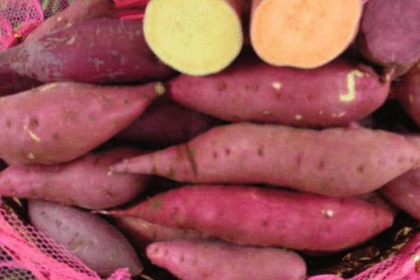 煮红薯要多长时间?