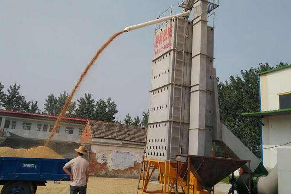 水稻烘干机多少钱一台?