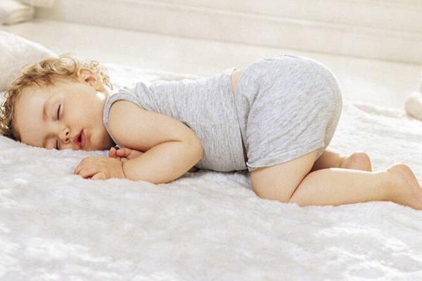 梦见金蝉是什么意思?