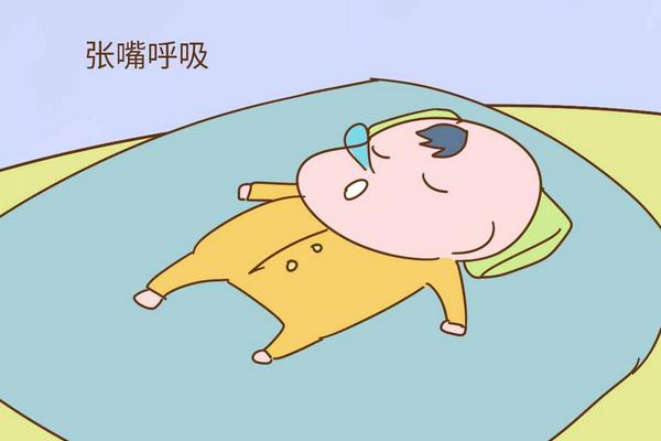 梦见金蝉是什么意思?