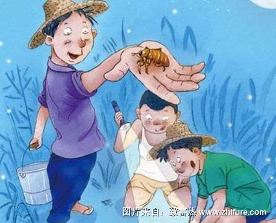 梦见金蝉是什么意思?