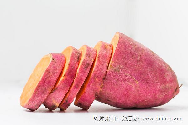 红薯补肾吗?