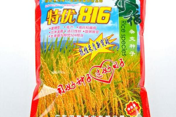 杂交水稻种子价格-