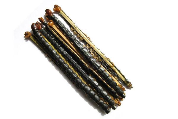 蜈蚣价格多少钱一条?