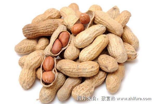 痛风能吃花生吗？