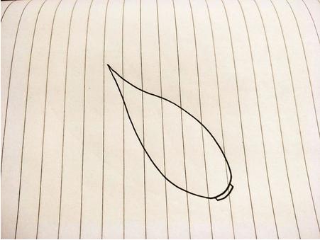 白菜简笔画(图解步骤)