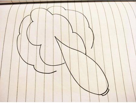 白菜简笔画(图解步骤)