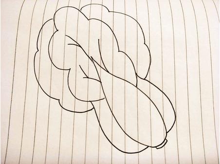 白菜简笔画(图解步骤)