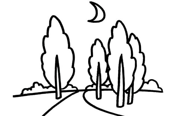 白菜简笔画(图解步骤)