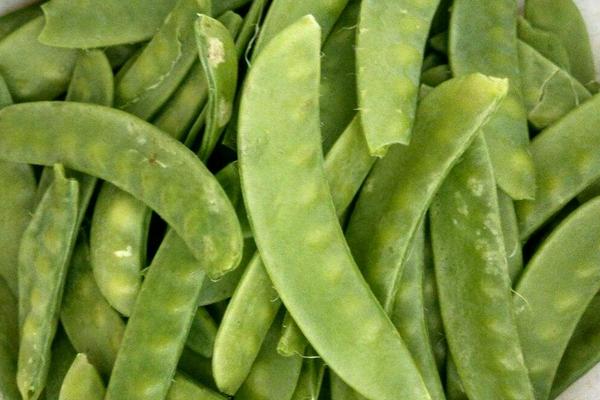 荷兰豆在荷兰叫什么 荷兰豆和荷兰国家有关系吗