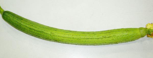 丝瓜怎么做不发黑 丝瓜为什么会发黑