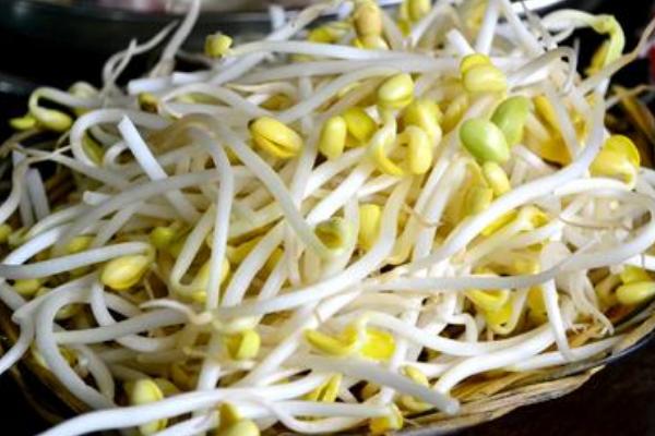 黄豆芽功效与作用 黄豆芽营养价值