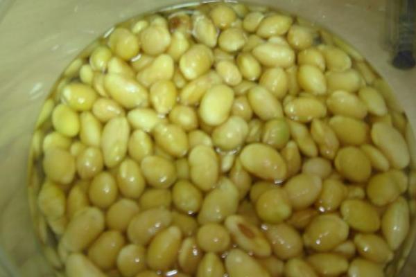 黄豆芽怎么保存 黄豆芽怎么泡