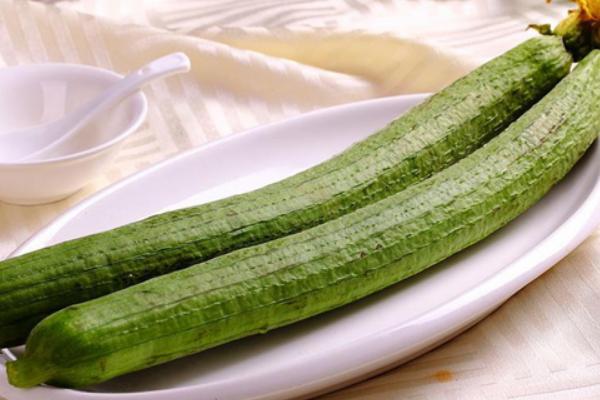 丝瓜络的功效与作用及禁忌