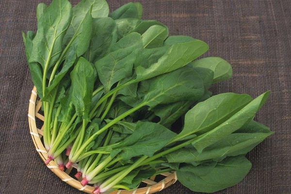 菠菜的做法大全 菠菜家常怎么做