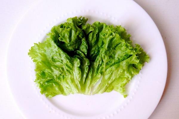 生菜的功效与作用及禁忌 生菜营养价值