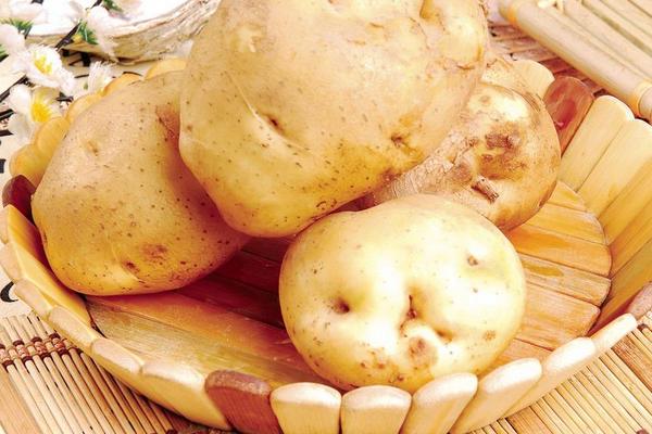 吃土豆会胖吗 吃土豆能减肥吗