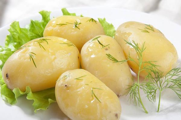 吃土豆会胖吗 吃土豆能减肥吗