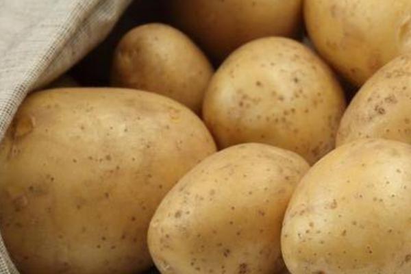 吃土豆会胖吗 吃土豆能减肥吗