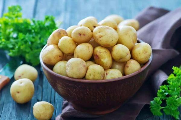 吃土豆会胖吗 吃土豆能减肥吗