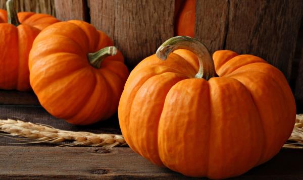 南瓜为什么叫南瓜