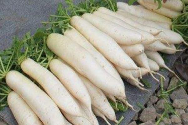 凉拌萝卜皮怎么做 萝卜皮凉拌做法大全