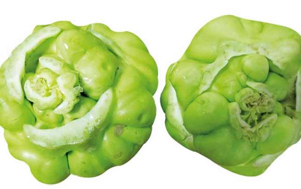 芥菜图片大全 芥菜是什么菜