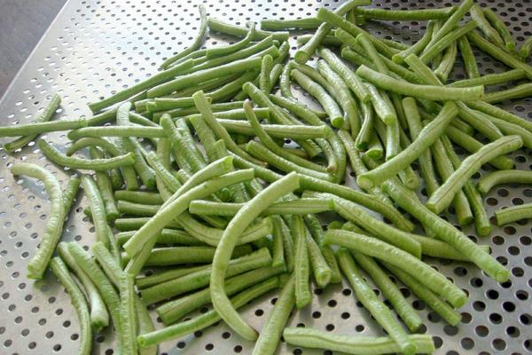 豇豆功效与作用及禁忌 豇豆的营养价值