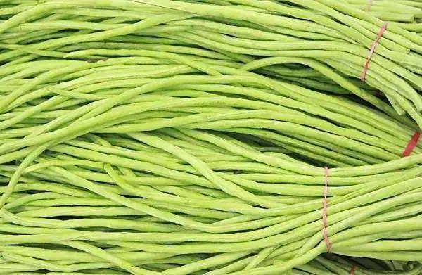 豇豆功效与作用及禁忌 豇豆的营养价值