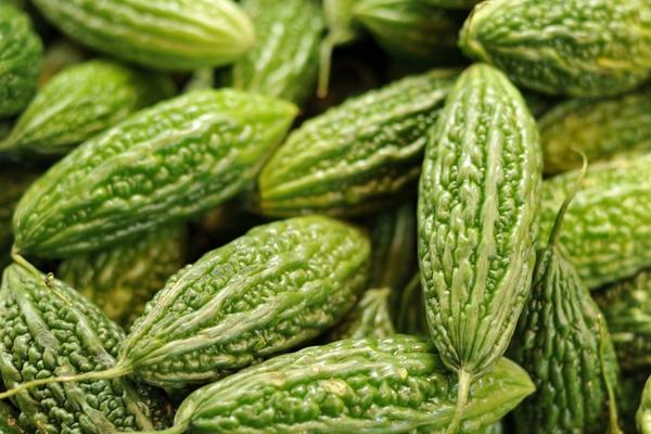 天天吃苦瓜好吗 苦瓜吃多了会怎么样