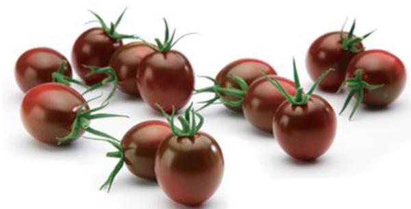 黑番茄和红番茄的区别是什么