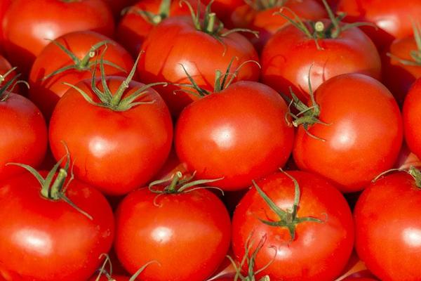 番茄黄瓜能一起吃吗 番茄相克的食物是什么