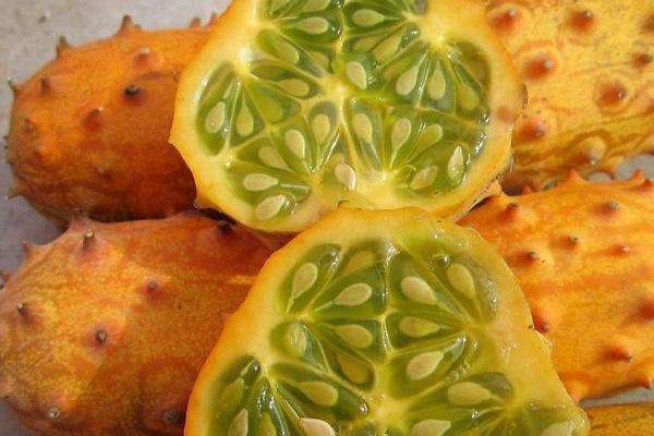 火参果市场价格多少钱一斤(一斤有几个) 火参果产地在哪里