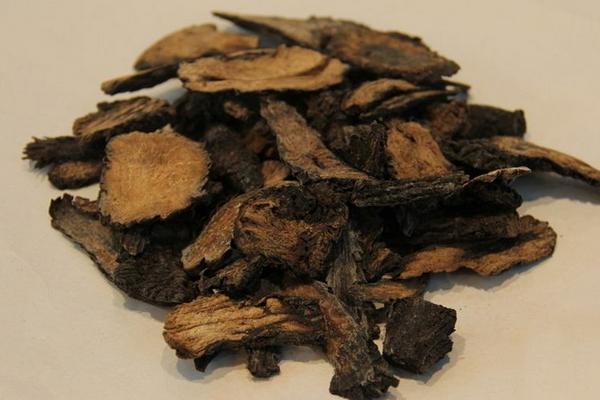 肉苁蓉怎么吃最好(可以直接吃吗) 女人吃肉苁蓉的好处