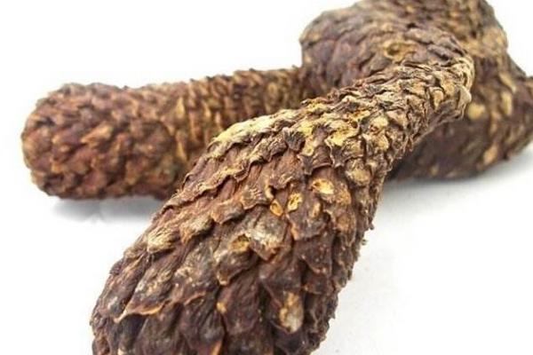 肉苁蓉怎么吃最好(可以直接吃吗) 女人吃肉苁蓉的好处