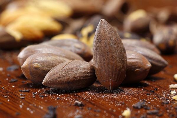 香榧树几年结果 香榧什么时候成熟(几月上市)