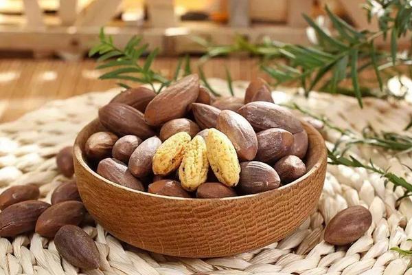 香榧种植条件(对环境的要求) 香榧树怎么种植 香榧适合种植在坡地吗