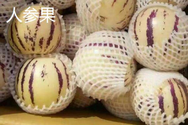 雪莲果、红薯、地瓜、人参果、木薯的区别分别是什么 雪莲果的功效与作用