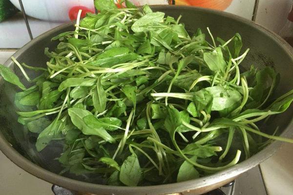 马兰头是什么野菜 什么时候有马兰头野菜(几月)