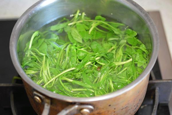 马兰头为什么苦 马兰头苦的能吃吗(怎么做不苦)