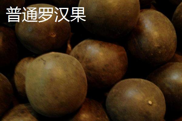 什么是黄金罗汉果 黄金罗汉果和普通罗汉果(黑色)的区别是什么