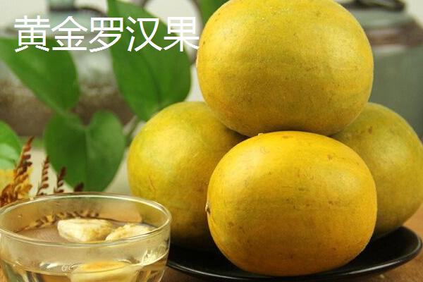 什么是黄金罗汉果 黄金罗汉果和普通罗汉果(黑色)的区别是什么