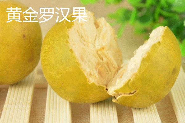 什么是黄金罗汉果 黄金罗汉果和普通罗汉果(黑色)的区别是什么
