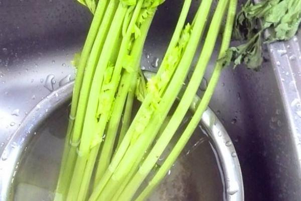 野菜山芹的采摘和清洗方法 山芹什么季节有(几月份)