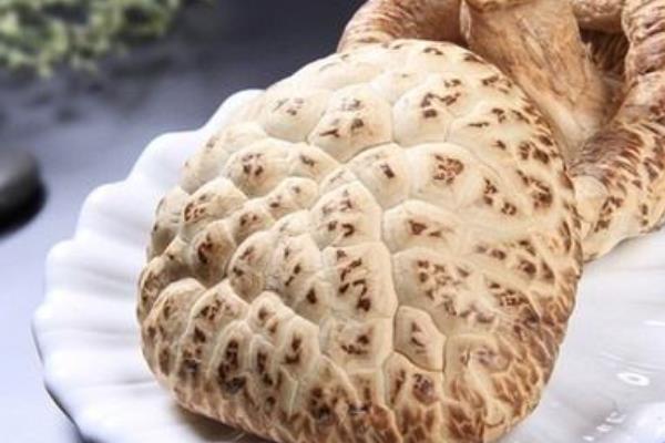 干花菇怎么泡发 干花菇需要泡多长时间(泡一晚上可以吗)