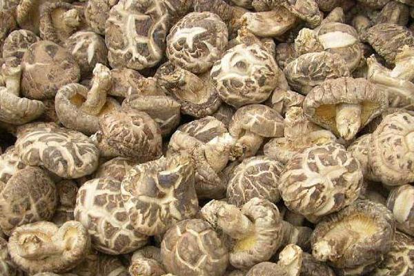 干花菇怎么泡发 干花菇需要泡多长时间(泡一晚上可以吗)