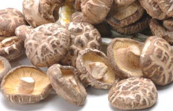 干花菇怎么泡发 干花菇需要泡多长时间(泡一晚上可以吗)