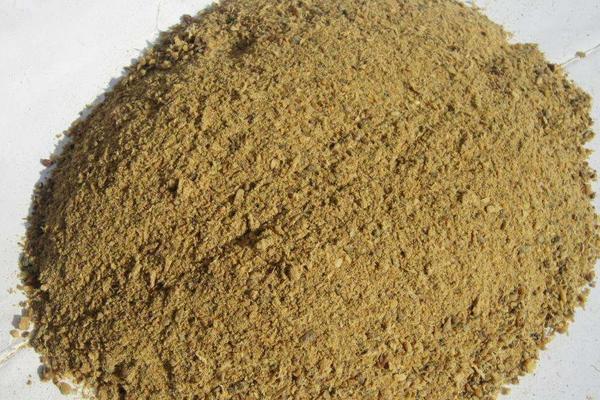 养鸡给鸡吃什么最省钱